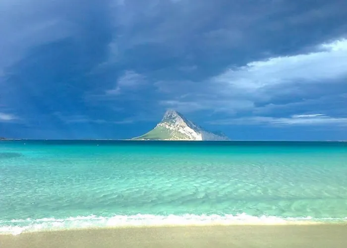 Apartman Vecchio Ulivo Puntocasabudoni