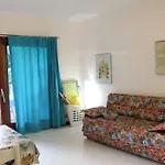 Vecchio Ulivo Puntocasabudoni San Teodoro (Sardinia)
