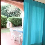 Vecchio Ulivo Puntocasabudoni San Teodoro (Sardinia)