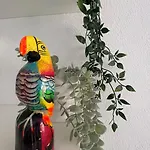 Appartement Vecchio Ulivo Puntocasabudoni *