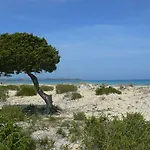 Vecchio Ulivo Puntocasabudoni Appartement San Teodoro (Sardinia)