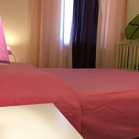 Vecchio Ulivo Puntocasabudoni