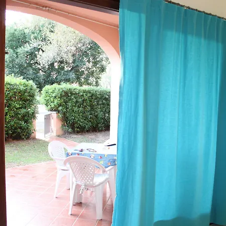 Vecchio Ulivo Puntocasabudoni San Teodoro (Sardinia)