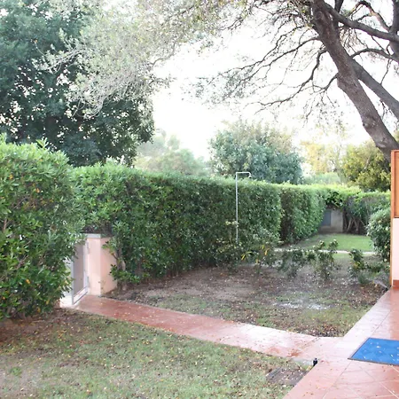 Vecchio Ulivo Puntocasabudoni * San Teodoro (Sardinia)