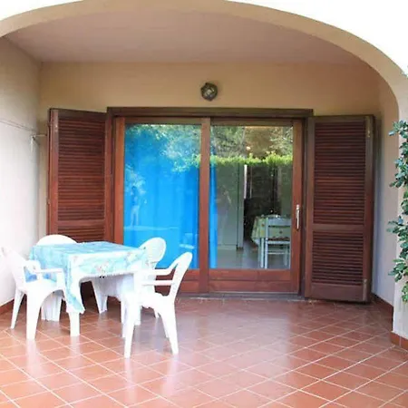 Vecchio Ulivo *