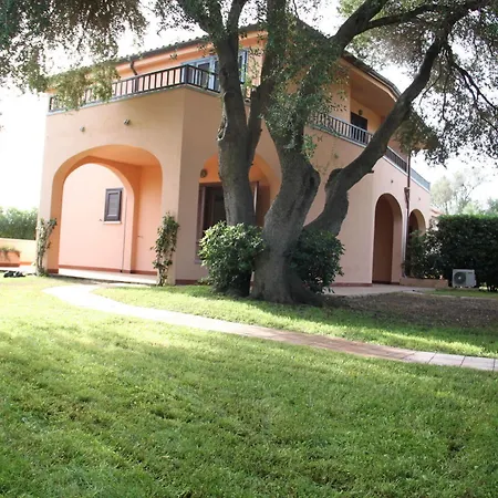 Vecchio Ulivo Apartment San Teodoro (Sardinia)