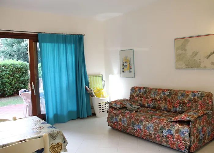 Vecchio Ulivo Puntocasabudoni San Teodoro (Sardinia)