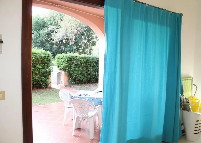 Vecchio Ulivo Puntocasabudoni San Teodoro (Sardinia)