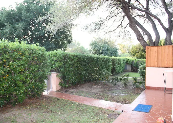 Vecchio Ulivo Puntocasabudoni * San Teodoro (Sardinia)